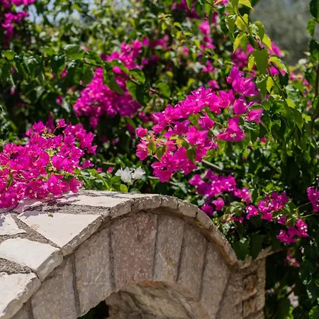 Villa Artia - Seaside Village Residence, Nafplio Riviera * Xiropigado